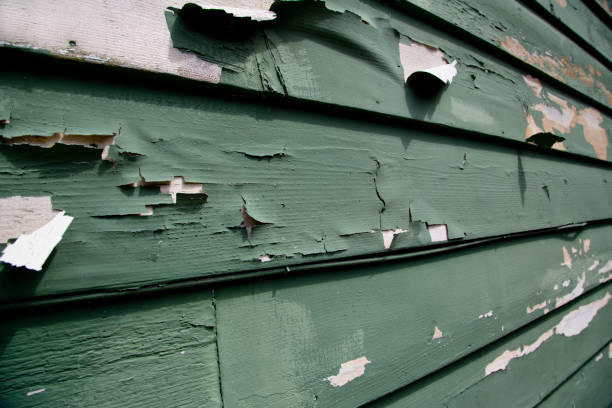 Best Siding for New Construction  in Hampton Beach, NH
