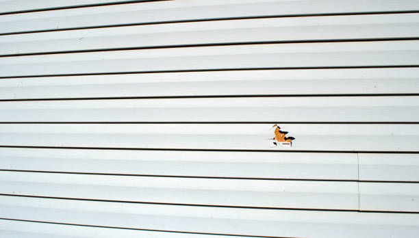 Best Historical Building Siding Restoration  in Hampton Beach, NH